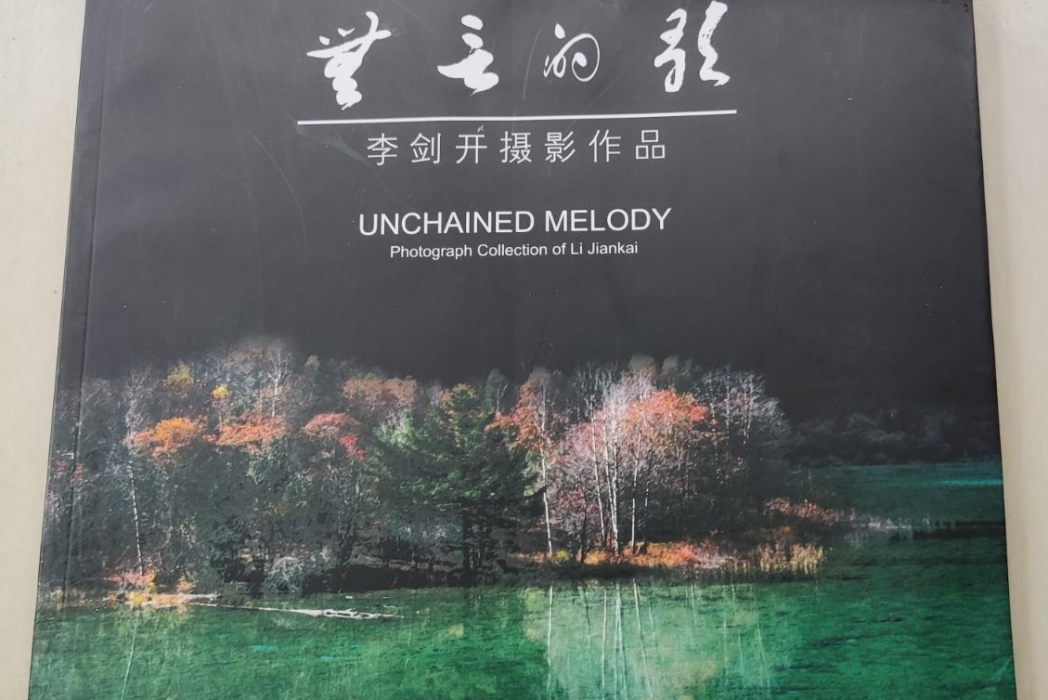 無言的歌(2007年雲南美術出版社出版的圖書) 無言的歌(2007年雲南美術出版社出版的圖書)