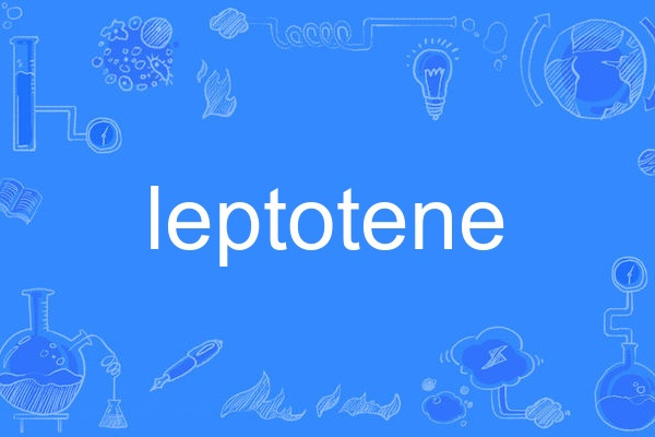 leptotene leptotene