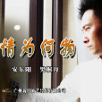 情為何物(香港電視劇) 情為何物(香港電視劇)