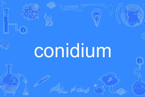 conidium conidium
