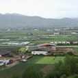 諾西村(雲南省迪慶州香格里拉市建塘鎮下轄村)