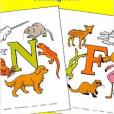 Animal Alphabet(Barbaresi, Nina著圖書) Animal Alphabet(Barbaresi, Nina著圖書)