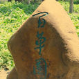 百草園(浙江紹興新台門周家的菜園子) 百草園(浙江紹興新台門周家的菜園子)