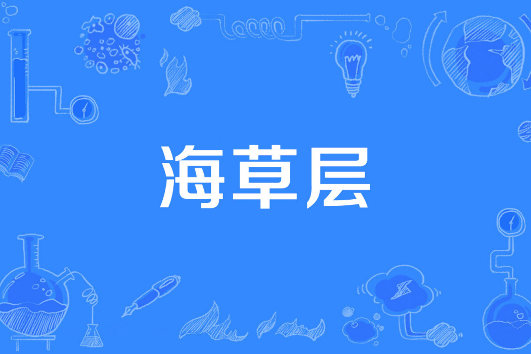 海草層 海草層
