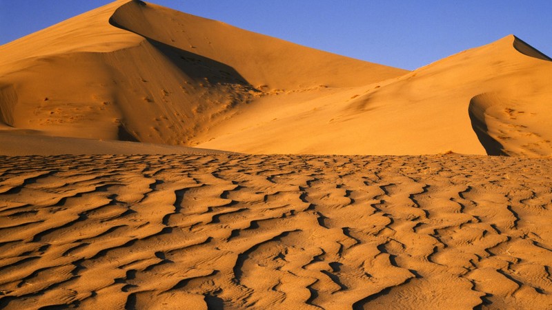 奇瓦瓦沙漠