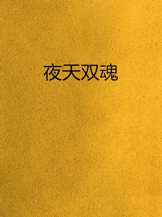 夜天雙魂 夜天雙魂