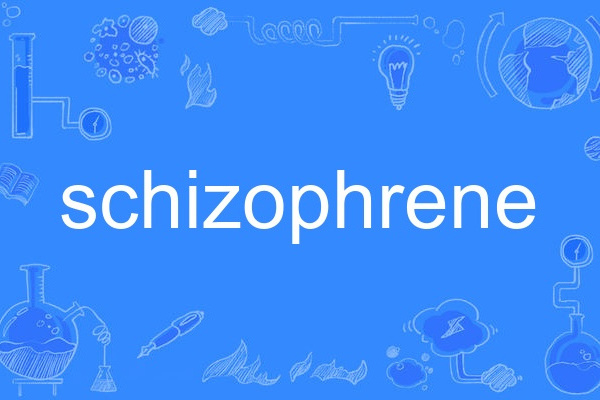 schizophrene schizophrene