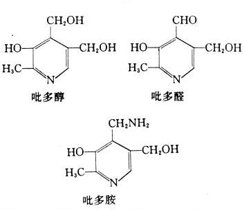 水溶性維生素B6(吡哆胺)化學結構式