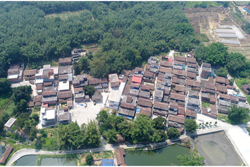 維洲村 維洲村