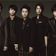 ARASHI(ARASHI嵐) ARASHI(ARASHI嵐)