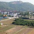 永興村(四川雅安市漢源縣富莊鎮永興村) 永興村(四川雅安市漢源縣富莊鎮永興村)