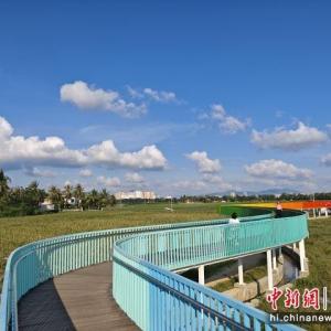 水蛟村 水蛟村