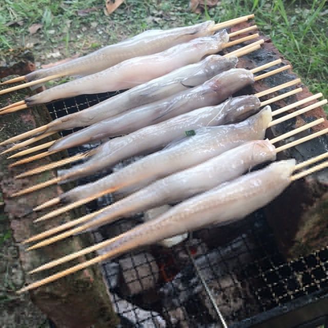 燒烤豆腐魚 燒烤豆腐魚