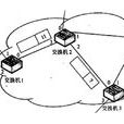 永久虛電路(PVC(永久虛電路)) 永久虛電路(PVC(永久虛電路))