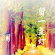 留一盞燈(書籍) 留一盞燈(書籍)
