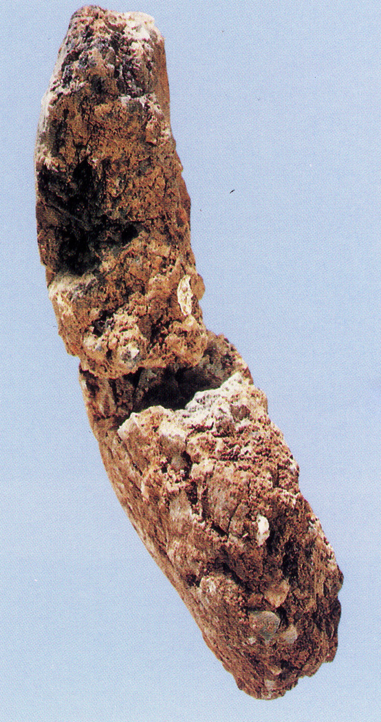 甑皮岩首期陶殘片（側面）