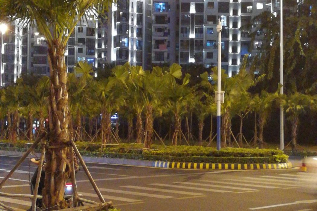 鳳凰路(三亞市的道路) 鳳凰路(三亞市的道路)