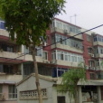 果園北區 果園北區