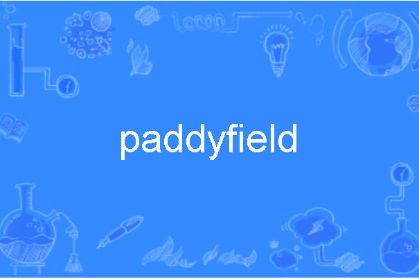paddyfield paddyfield