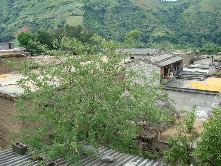 小扒奴村 小扒奴村