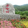 老嶺村(安徽省六安市舒城縣南港鎮下轄村) 老嶺村(安徽省六安市舒城縣南港鎮下轄村)