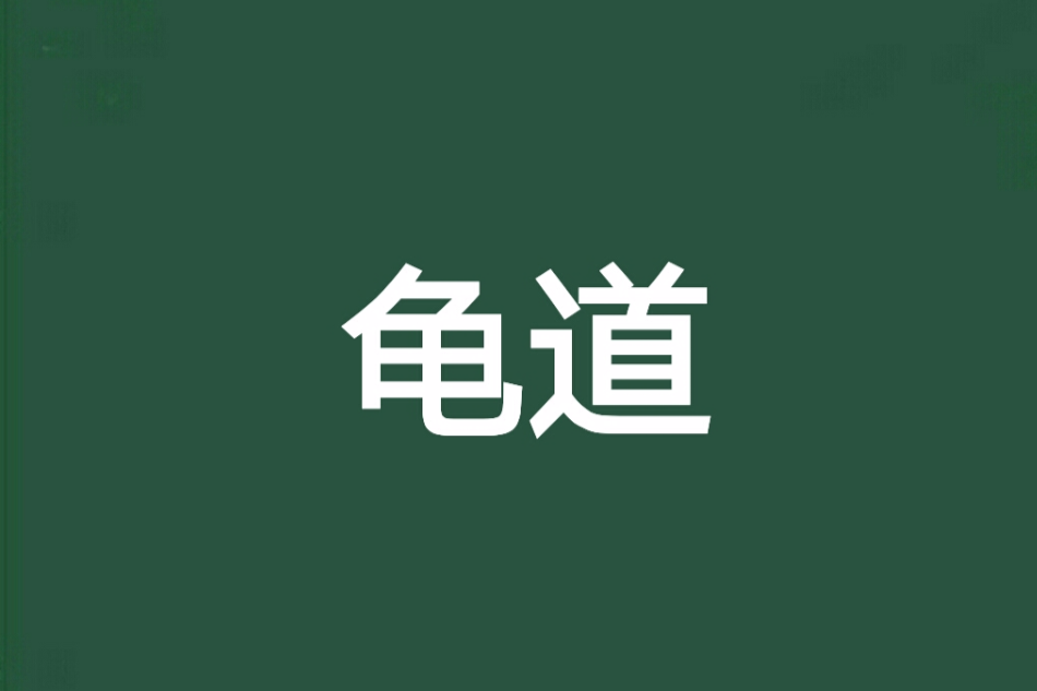 龜道