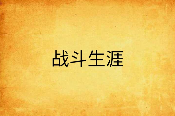 戰鬥生涯 戰鬥生涯