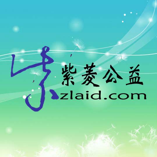 紫菱公益 紫菱公益