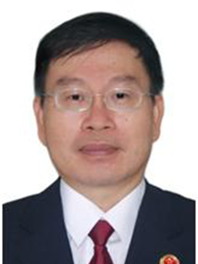 林雄(深圳市人民檢察院副檢察長) 林雄(深圳市人民檢察院副檢察長)