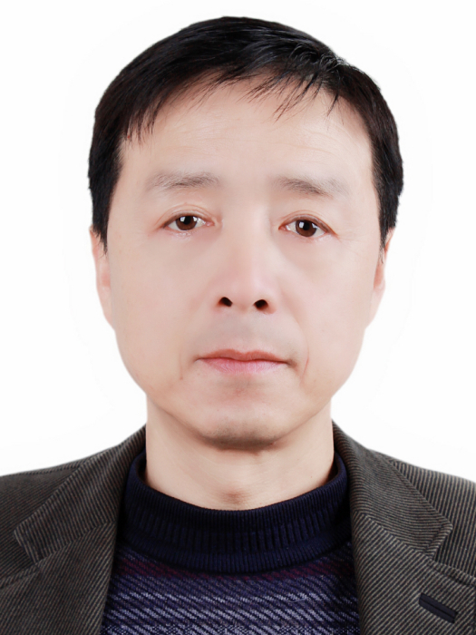 張駿(淮南市教育科學研究室教研員) 張駿(淮南市教育科學研究室教研員)
