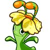 奇麗花 奇麗花