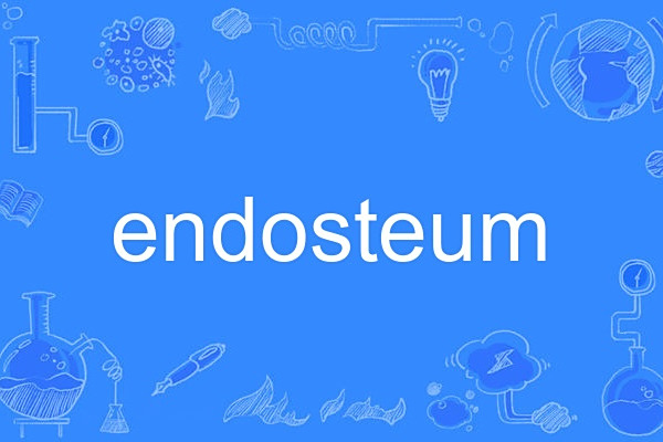 endosteum endosteum
