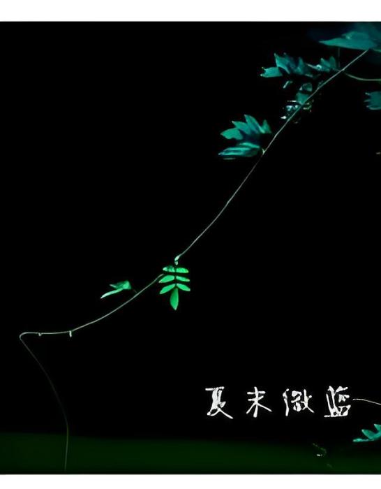 夏末微藍 夏末微藍