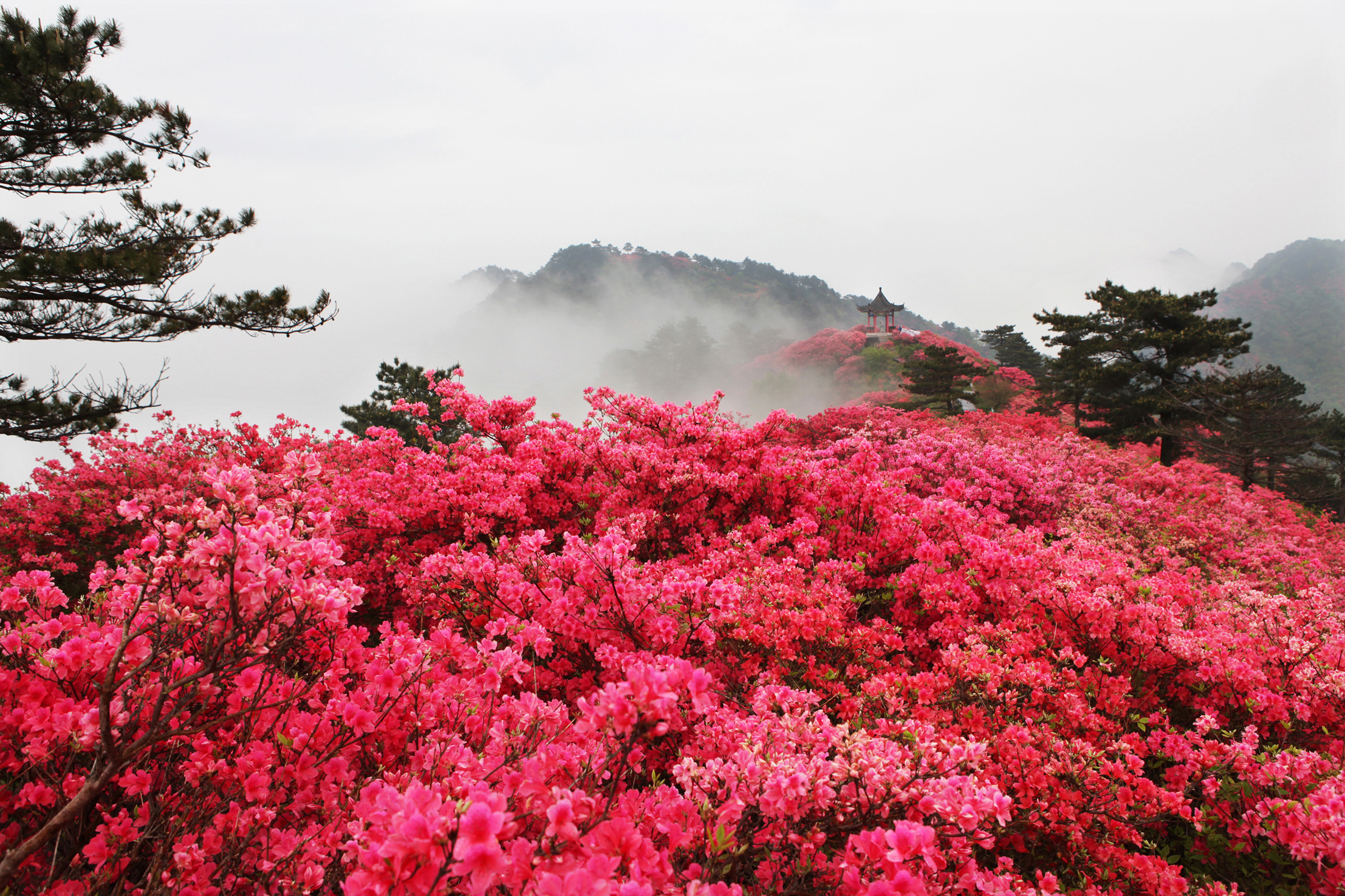 龜峰山風景旅遊區
