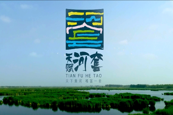 天賦河套 天賦河套