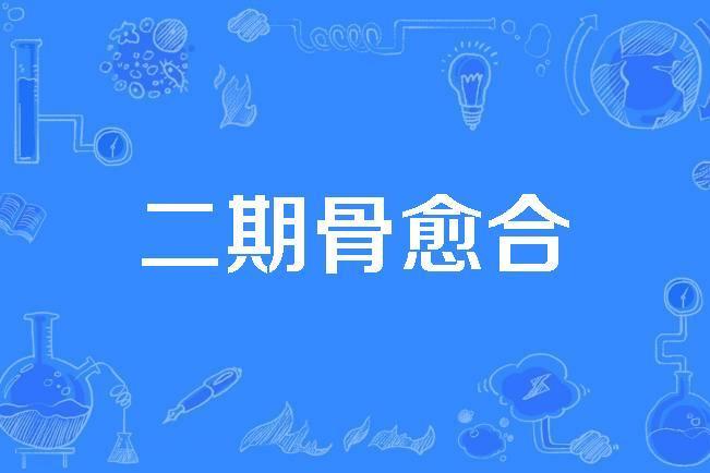 二期骨癒合 二期骨癒合