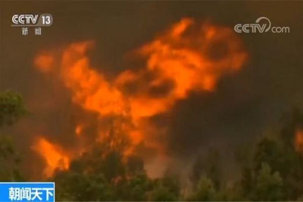 林火爆燃 林火爆燃