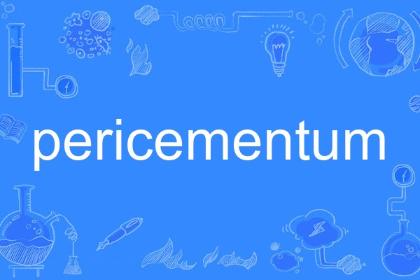pericementum pericementum