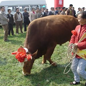 水市鎮(重慶市黔江區下轄鎮)