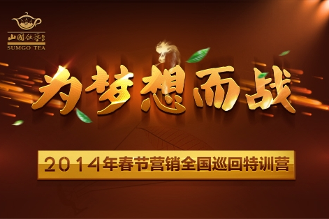 為夢想而戰(2012年中經錄音錄像中心出版社出版的DVD) 為夢想而戰(2012年中經錄音錄像中心出版社出版的DVD)