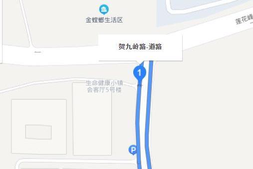 賀九嶺路 賀九嶺路