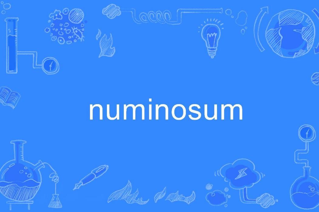 numinosum numinosum