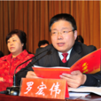 羅宏偉(芮城縣委副書記) 羅宏偉(芮城縣委副書記)