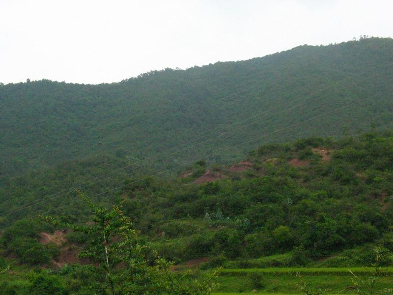 大吉樂村 大吉樂村