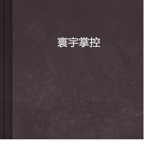 寰宇掌控