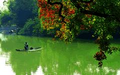 美麗的桂林蘆笛景區