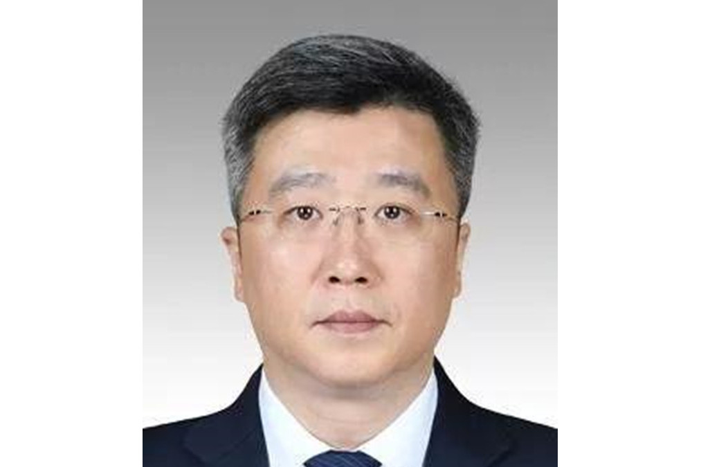 周磊(國泰君安董事,審計委員會委員) 周磊(國泰君安董事,審計委員會委員)