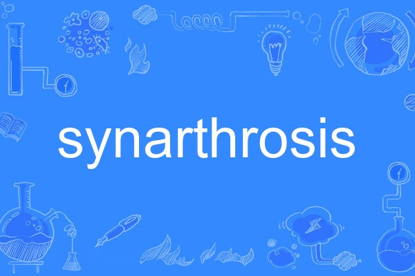 synarthrosis synarthrosis