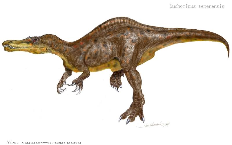 大型的食魚恐龍 似鱷龍