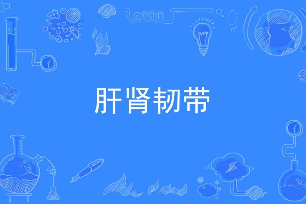 肝腎韌帶 肝腎韌帶